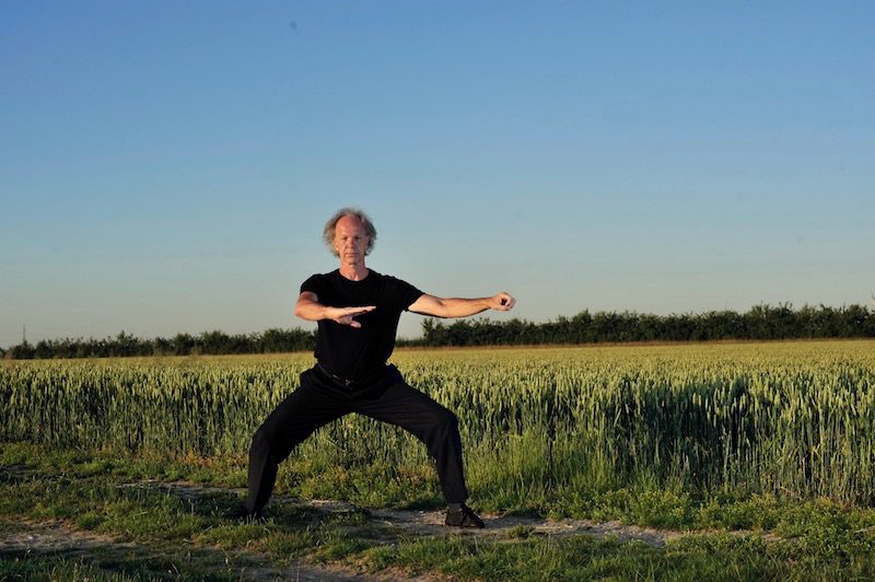 Tai chi-Méthode - Style Chen -Simple fouet - Eric Caulier