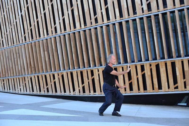 Taijiquan - Techniques corps-esprit - style Sun - Eric Caulier