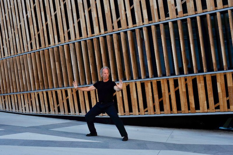 Tai chi - alchimie - Style Sun - Simple fouet - Eric Caulier