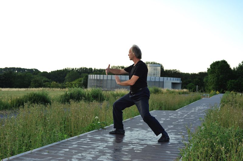 Tai chi - Simili - Style Yang - Parer - Eric Caulier