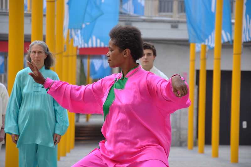 Tai chi - Style Chen - différentes facettes - Blog d'Eric Caulier
