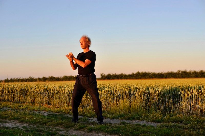 Clefs de compréhension et tai chi chuan