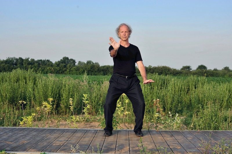 repousser le singe Wu