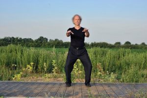 repousser le singe Wu