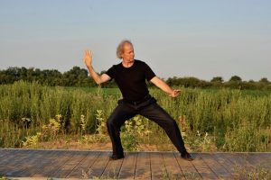 la forme des 10 postures Wu