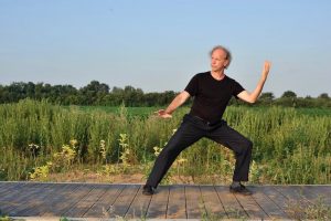 la forme des 10 postures Wu