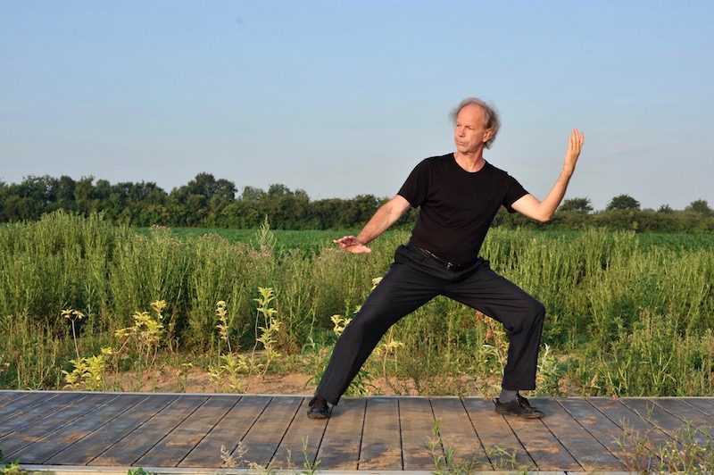 la forme des 10 postures Wu