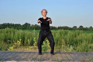 coq d'or se tient sur une patte Wu