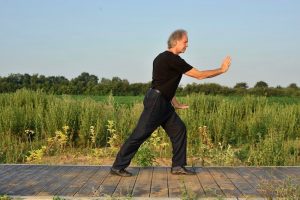 la forme des 10 postures Wu