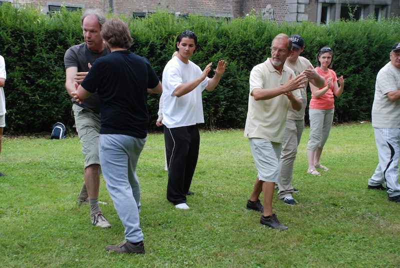 Tai chi chuan : entre clans et institutions